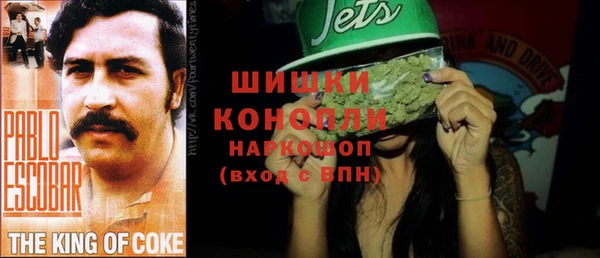 дурь Алзамай