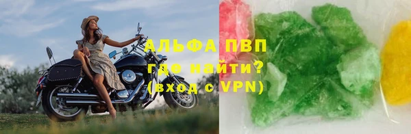 индика Гусиноозёрск